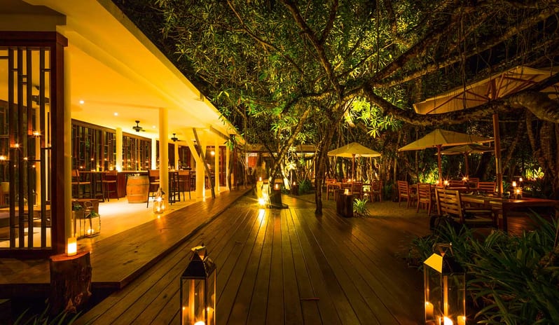 The Sarojin-The Cellar_712